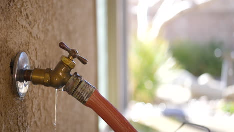 regar el jardín con una manguera y luego cerrar el grifo que gotea y gotea para dejar de desperdiciar agua