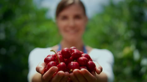 Cherry-harvest-in-farmers-hand.-Woman-agronomist-holding-berry-in-green-orchard.