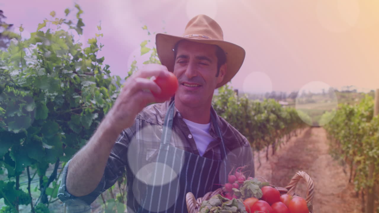 Animación de manchas de luz sobre un agricultor caucásico feliz con tomates.