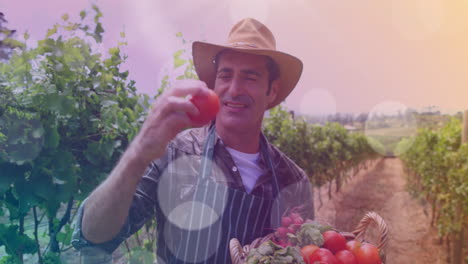 animación de puntos de luz sobre un feliz agricultor caucásico con tomates