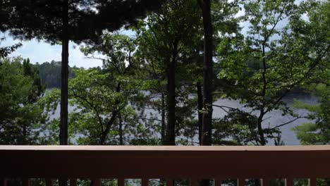 view of lake minocqua through trees from balcony (boat in the distance)