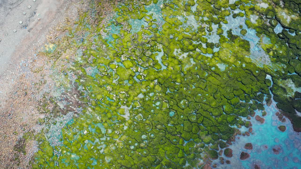 Ripresa aerea in 4K con panoramica verso l'alto su un bellissimo paesaggio costiero che mostra rocce muschiose di un verde brillante che incontrano l'acqua limpida e turchese dell'oceano.