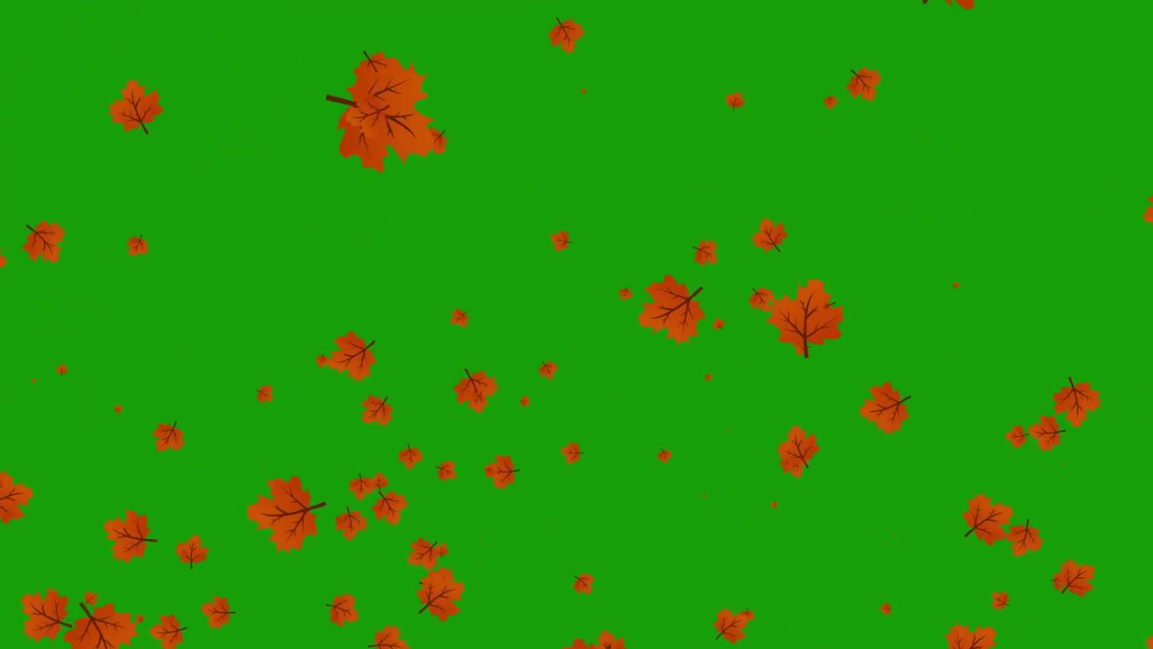 Foglie autunnali animate che cadono su sfondo green screen