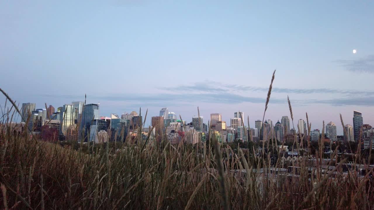 저녁 정적 알버타 캐나다에서 달과 잔디와 스카이 라인