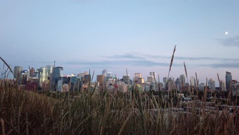 skyline with grass with moon in evening static alberta canada