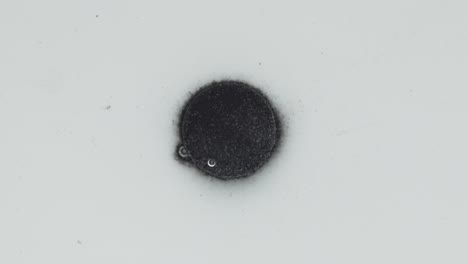 coal tablet disintegrating on the water. zoom close up
