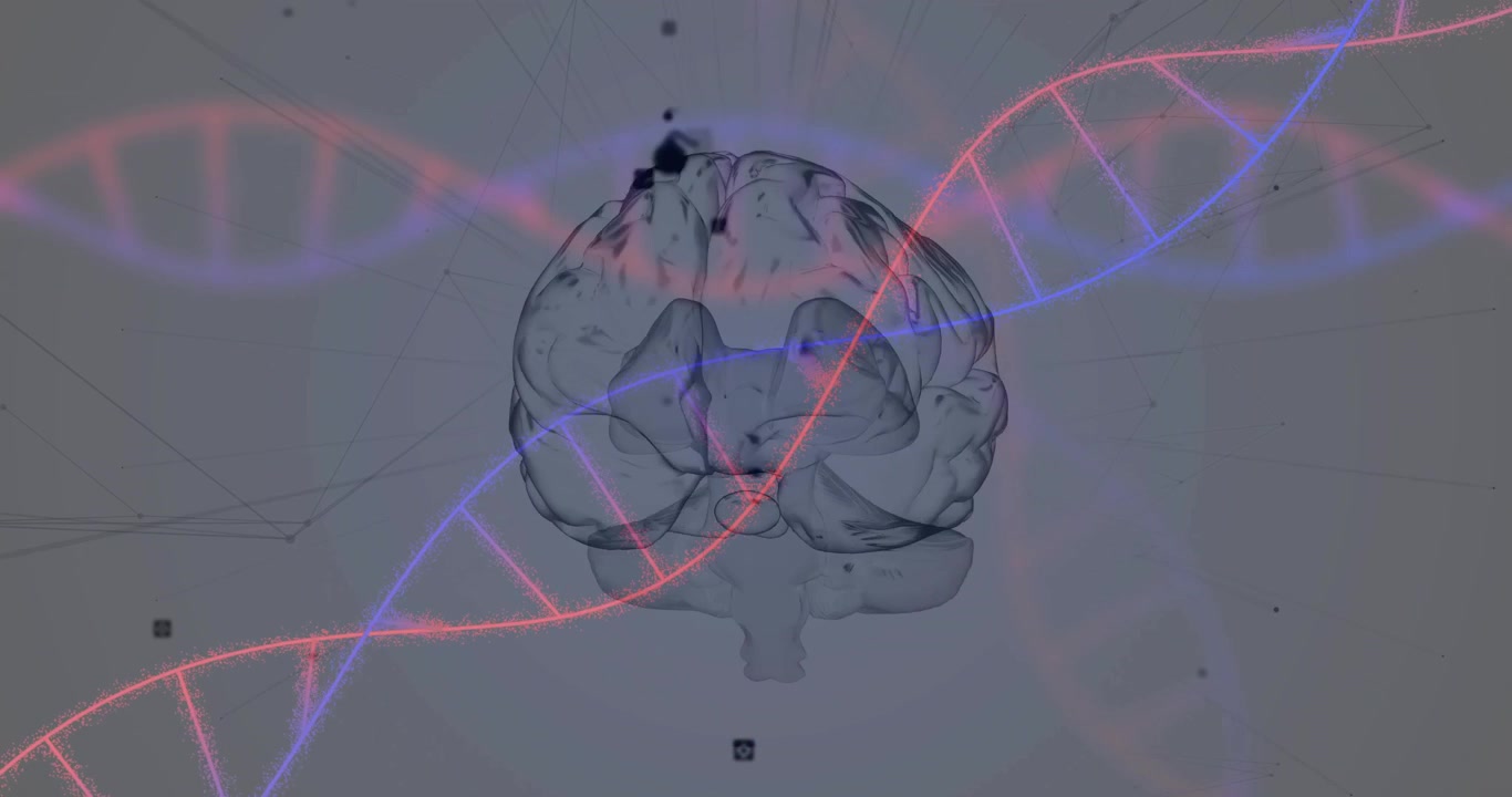 Helix sweeping in from left starting 3D brain rotating and nodes emerging to show connectivity