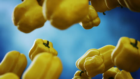 Clean-yellow-bell-peppers-with-water-droplets-falling-down-in-front-of-the-blurry-background.-Slow-motion-computer-generated-imagery-presenting-realistic-looking-vegetables-in-the-air.-Loopable.-HD