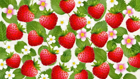 a delightful collection of strawberries