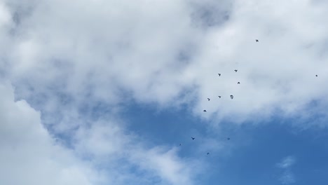 vista estática de la bandada de palomas en vuelo en un cielo azul