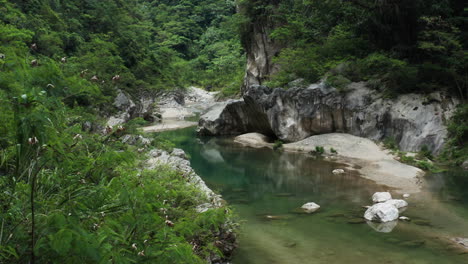 Los-Charcos-De-Nizao---Charcos-Del-Nizao-Ruhiges-Wasser-Inmitten-Von-Wald-In-Der-Dominikanischen-Republik