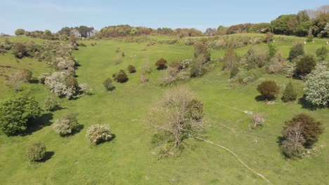 Slow-reverse-motion-on-a-clear-day-in-summer-over-a-valley-with-green-grass-and-various-english-trees-visible