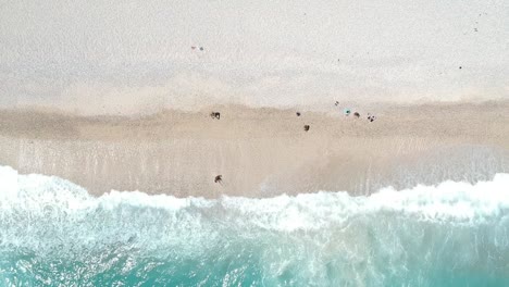 ascending aerial view of a beautiful caribbean beach with turquoise water and waves crashing onto a white beach