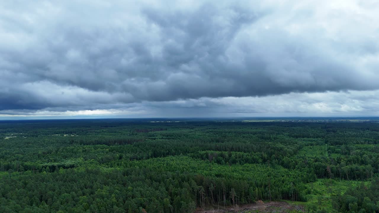 Powerful storm clouds flow above forest landscape, aerial view