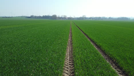 green field with tractor tracks and wind turbines