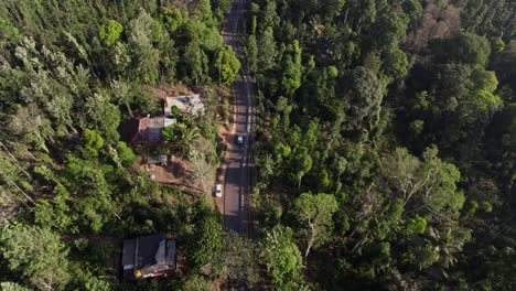 siguiendo un coche en una vista aérea a través de una carretera de campo en el bosque indio