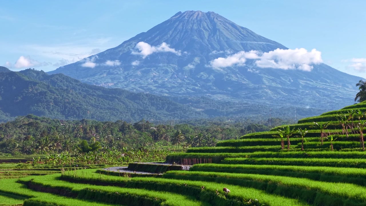 Splendide terrazze di risaie verdi e un contadino con una montagna imponente e un cielo azzurro brillante, che catturano la campagna serena e la bellezza naturale. Paesaggio rurale indonesiano