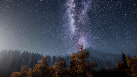 Milchstraßensterne-Mit-Mondlicht