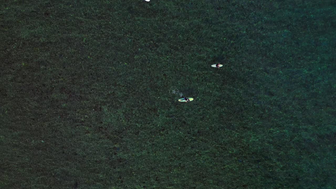 Surfere venter på fargerike surfebrett i klart tropisk havvann, sett ovenfra i fugleperspektiv. Dramatisk luftfoto der dronen stiger opp.