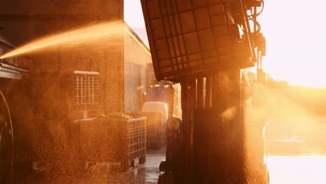 golden sunset backlit shot of grape harvesting bin on forklift being sprayed clean