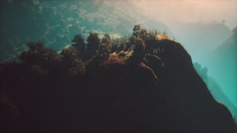 puesta de sol en la montaña con hierba verde y árboles