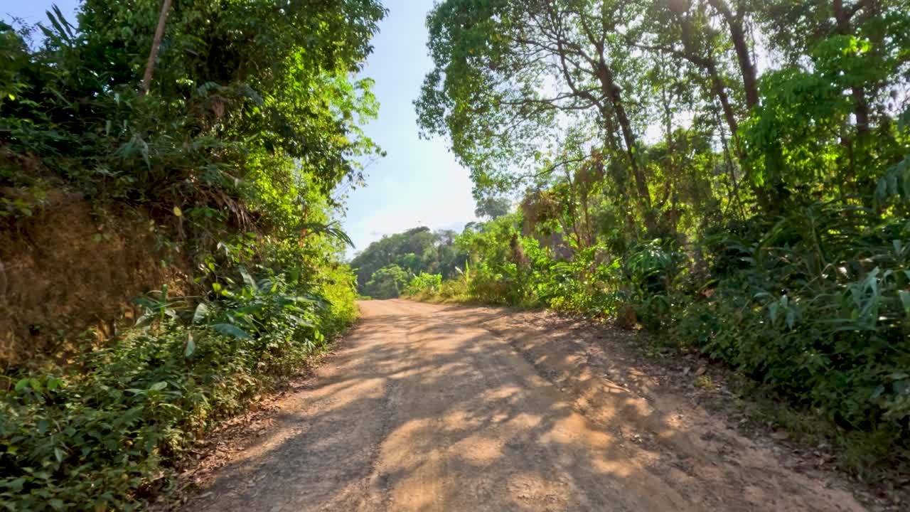 Vehicle travels down a winding dirt road surrounded by lush jungle under bright natural sunlight