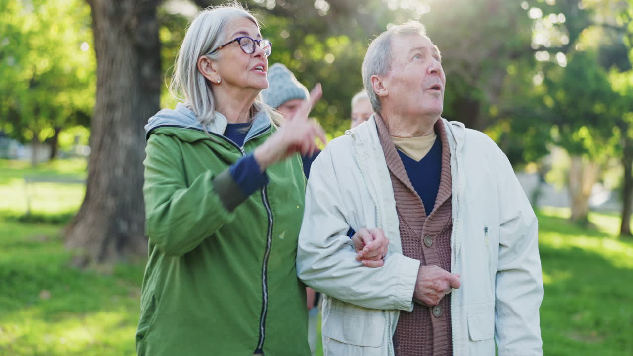 공원 산책, 커뮤니케이션 및 은 커플 포인트