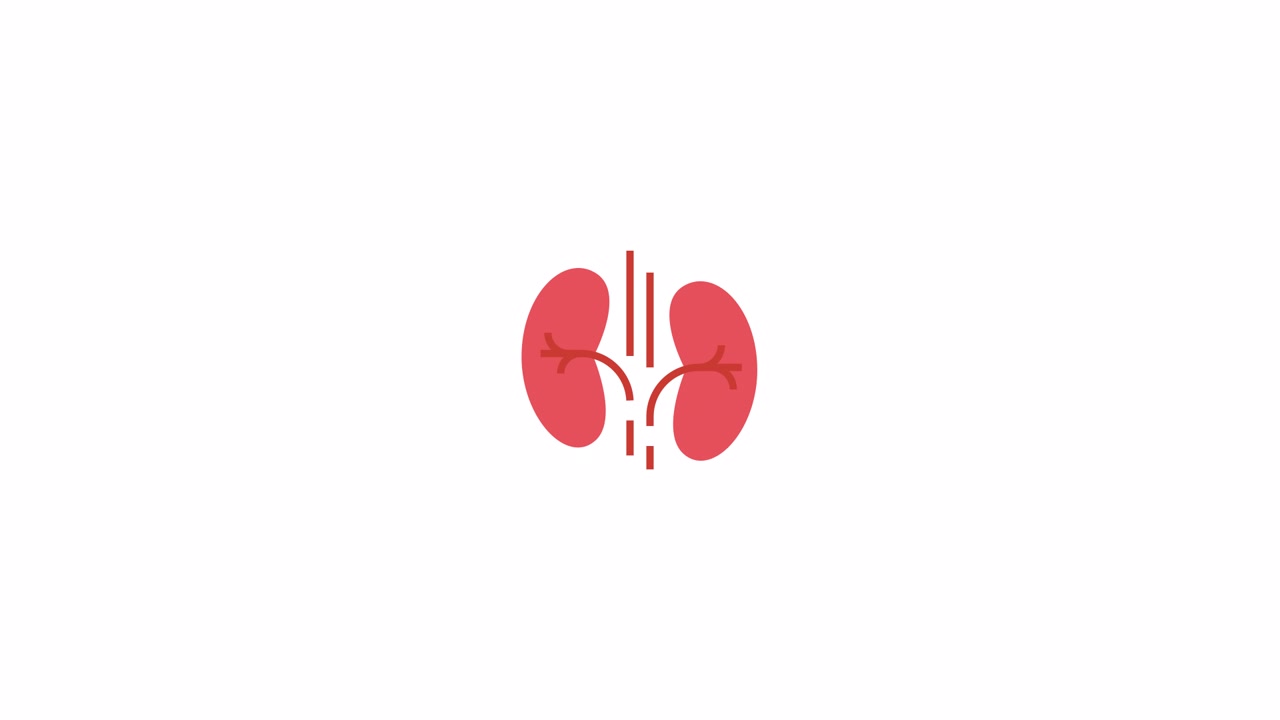 Animated Medical Icon of Human Kidneys with Pulsating Lines