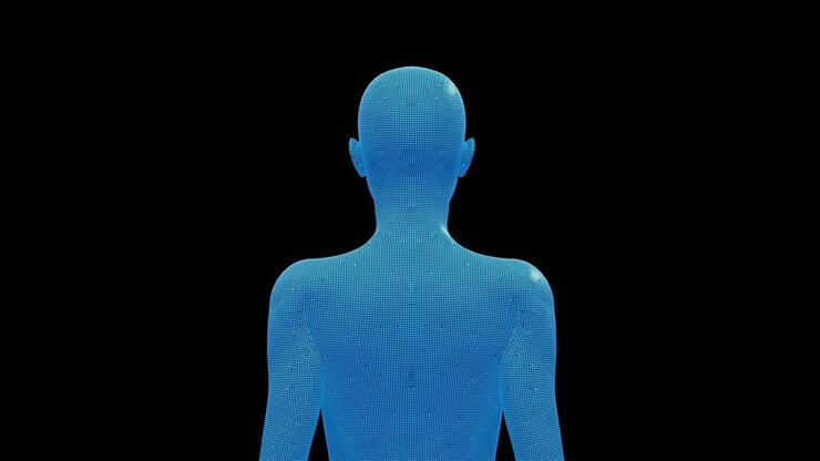Woman, Female Body 3D Wireframe Model, Seamless Loop
