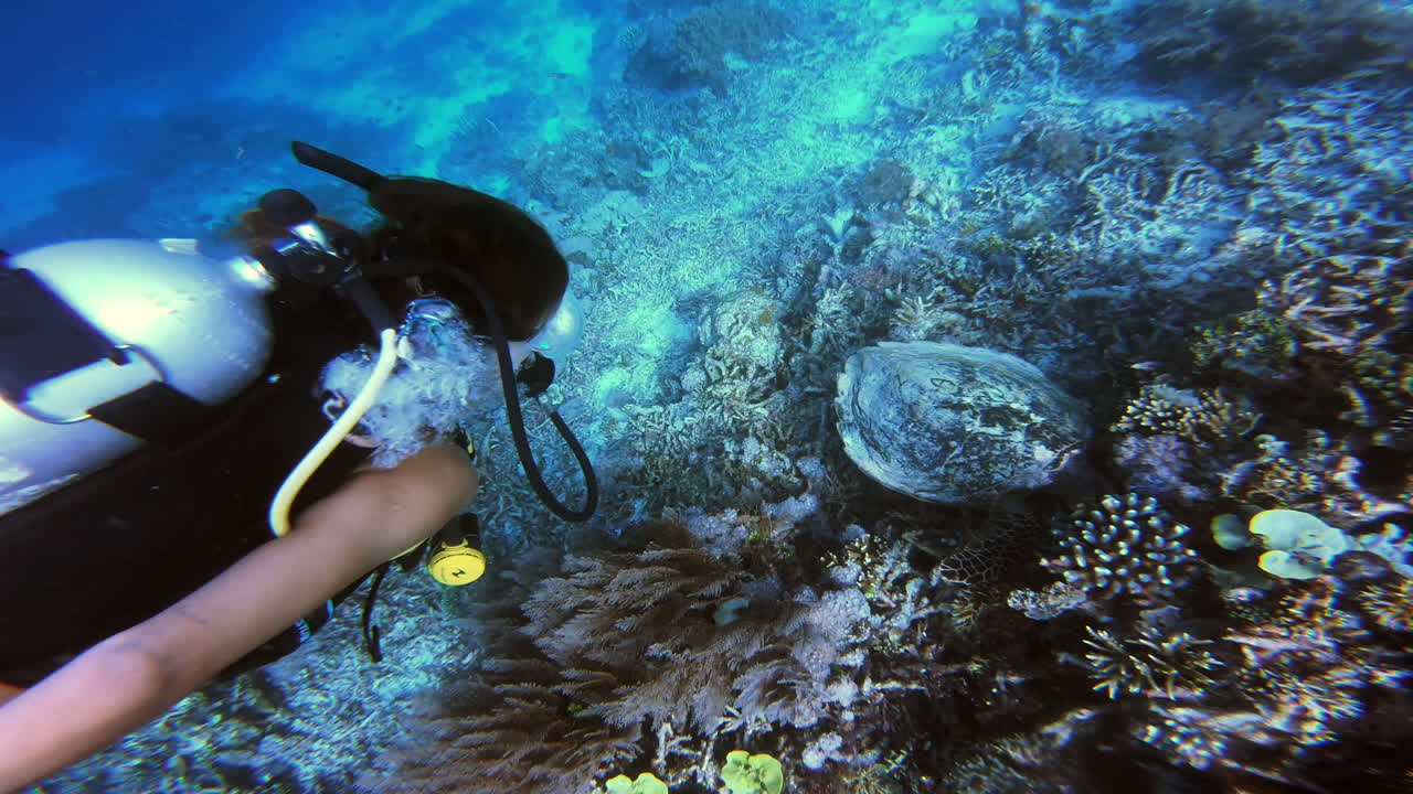 parece ser un poco tímido.