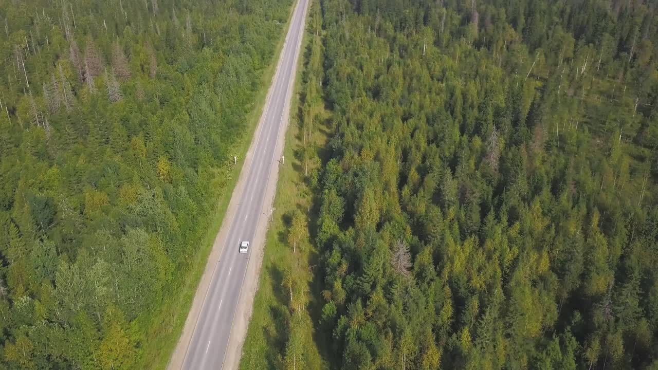 vista aérea de un camino a través de un bosque