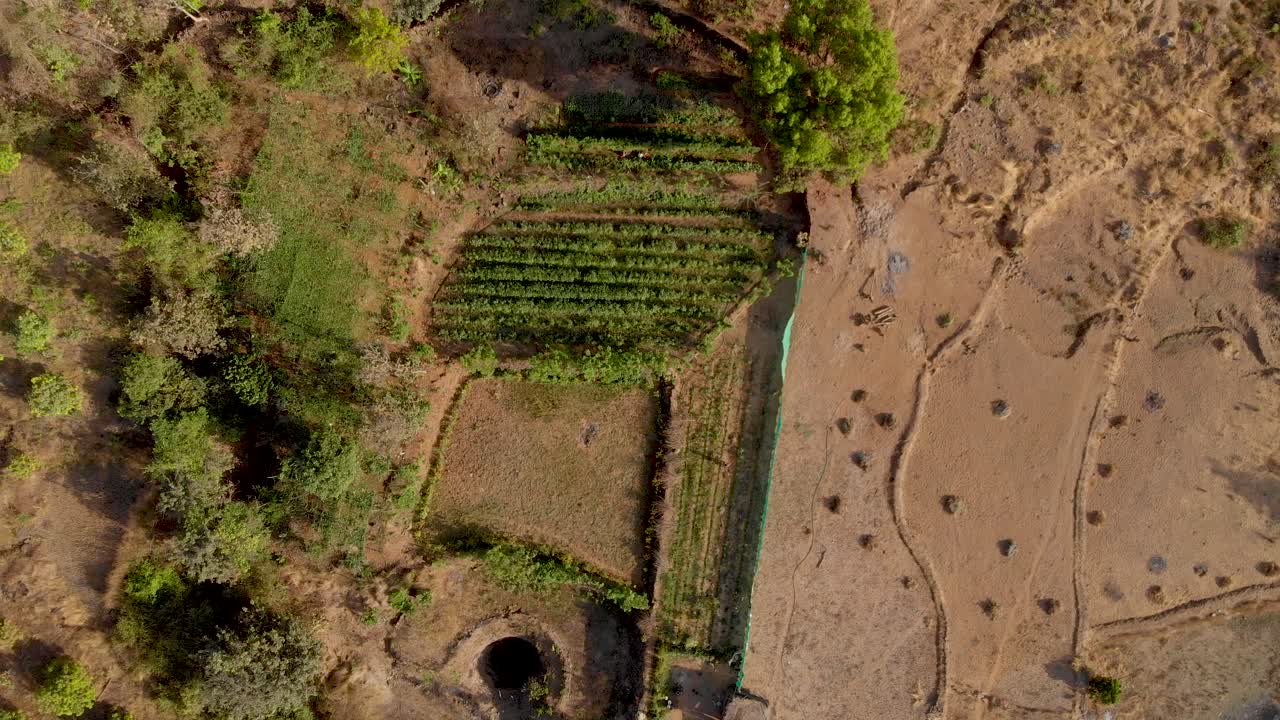 tiro de drone ascendente de una granja escalonada india seca en la ladera