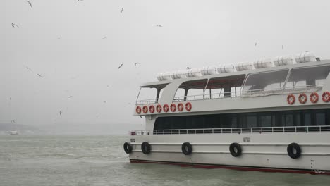 ferry with gulls on a cloudy day