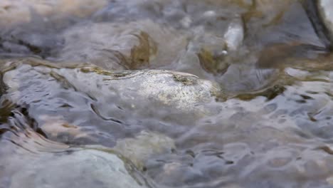 river water trickling over rocks heading back into the ocean