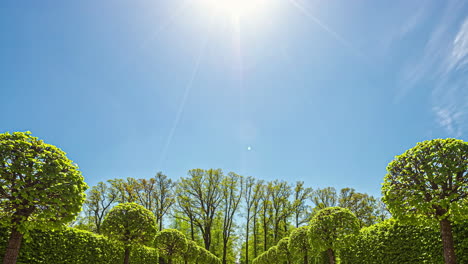 low angle timelapse of a blue sky with clouds and green trees