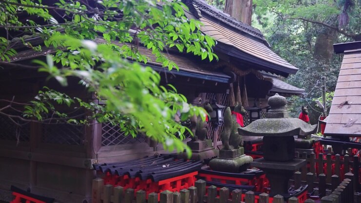Santuario Tranquillo a Kyoto, Giappone, Foresta di Fushimi Inari Taisha 4K