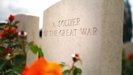 Headstone-Grave-closeup-at-a-War-Memorial-Cemetery-amongst-a-beautiful-Green-Garden-with-Red-Roses-in-Ypres-Beglium,-sliding-handheld-shot