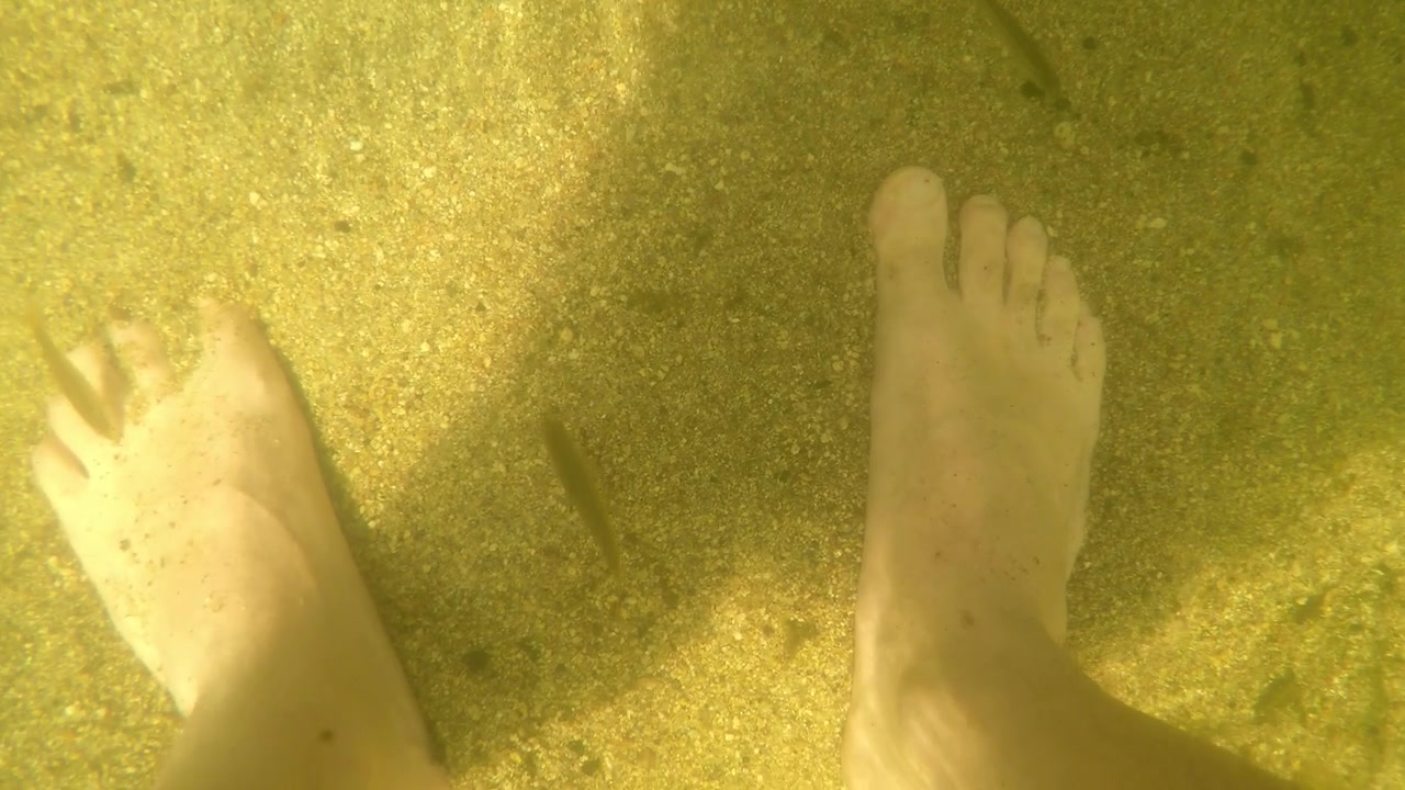 Piccoli pesci nuotano intorno ai piedi sott'acqua in un letto di fiume poco profondo e sabbioso.