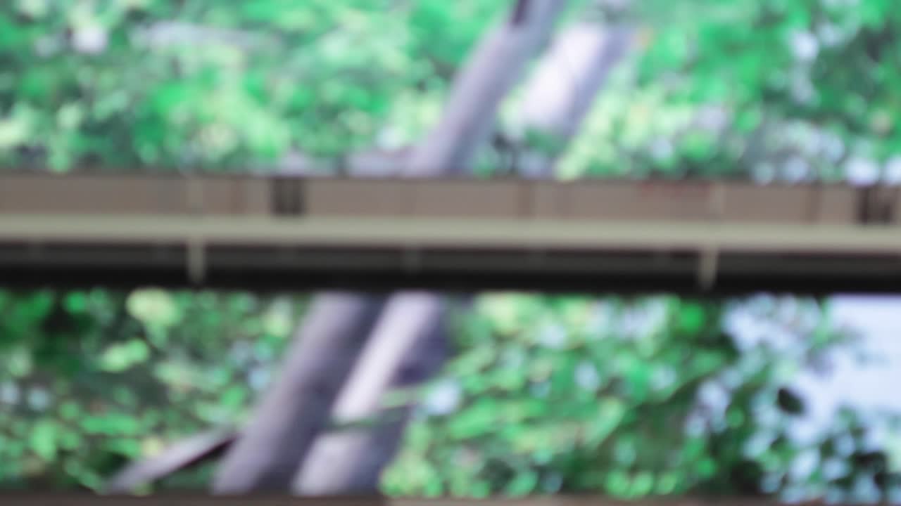 ver la naturaleza a través de una ventana de un vehículo en movimiento.