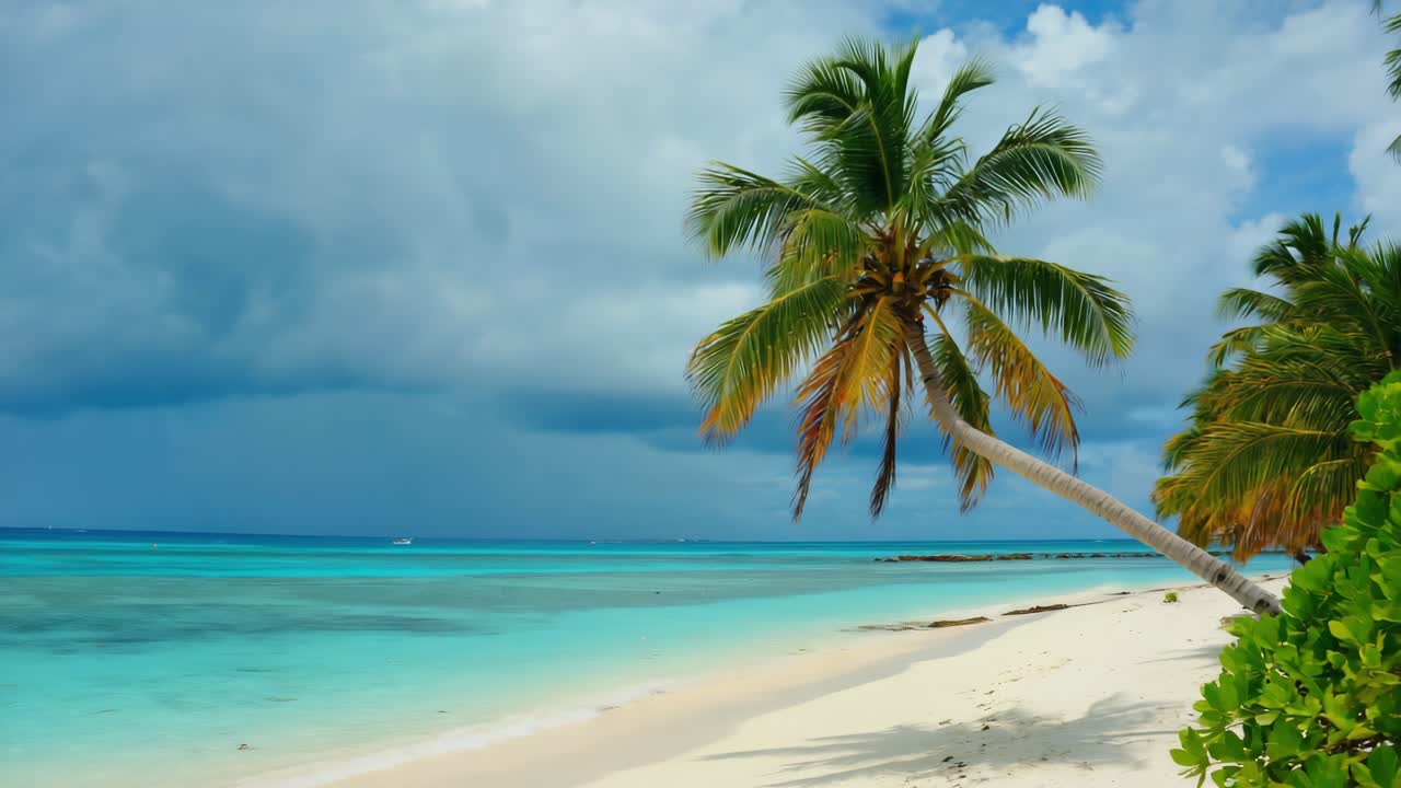 Beautiful tropical beach with palm trees leaning over crystal clear turquoise water under cloudy sky, creating a serene and idyllic vacation destination