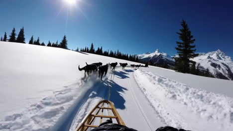 dog sledding adventure in the mountains