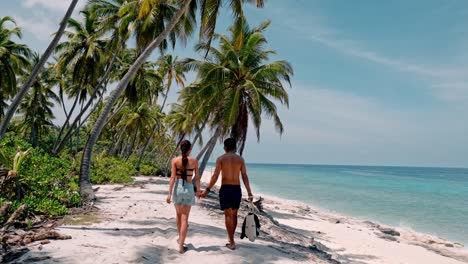 a couple strolls peacefully along the untouched sands of geiymiskih fannu beach in fuvahmulah, surrounded by swaying palm trees and crystal-clear waters.