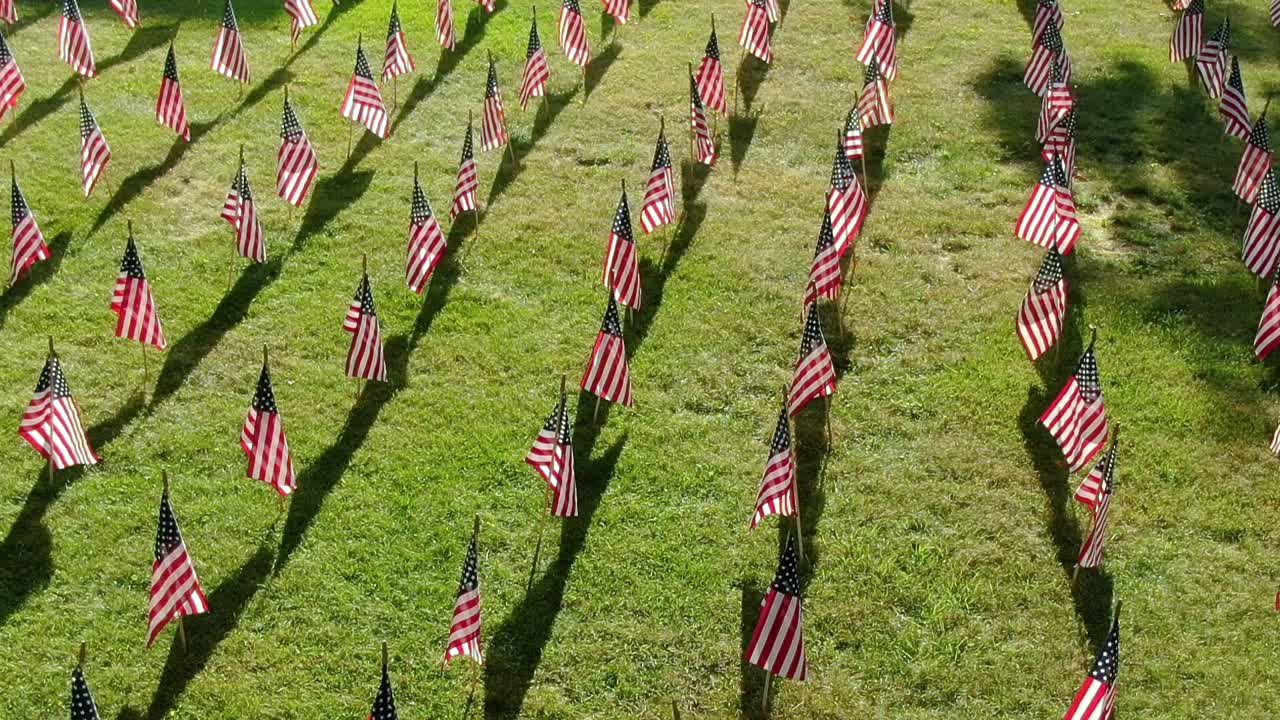 Set of American flags fluttering in the wind