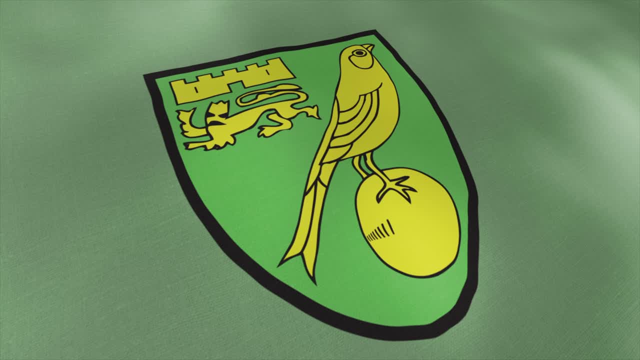 Leicester City Football Club Flag