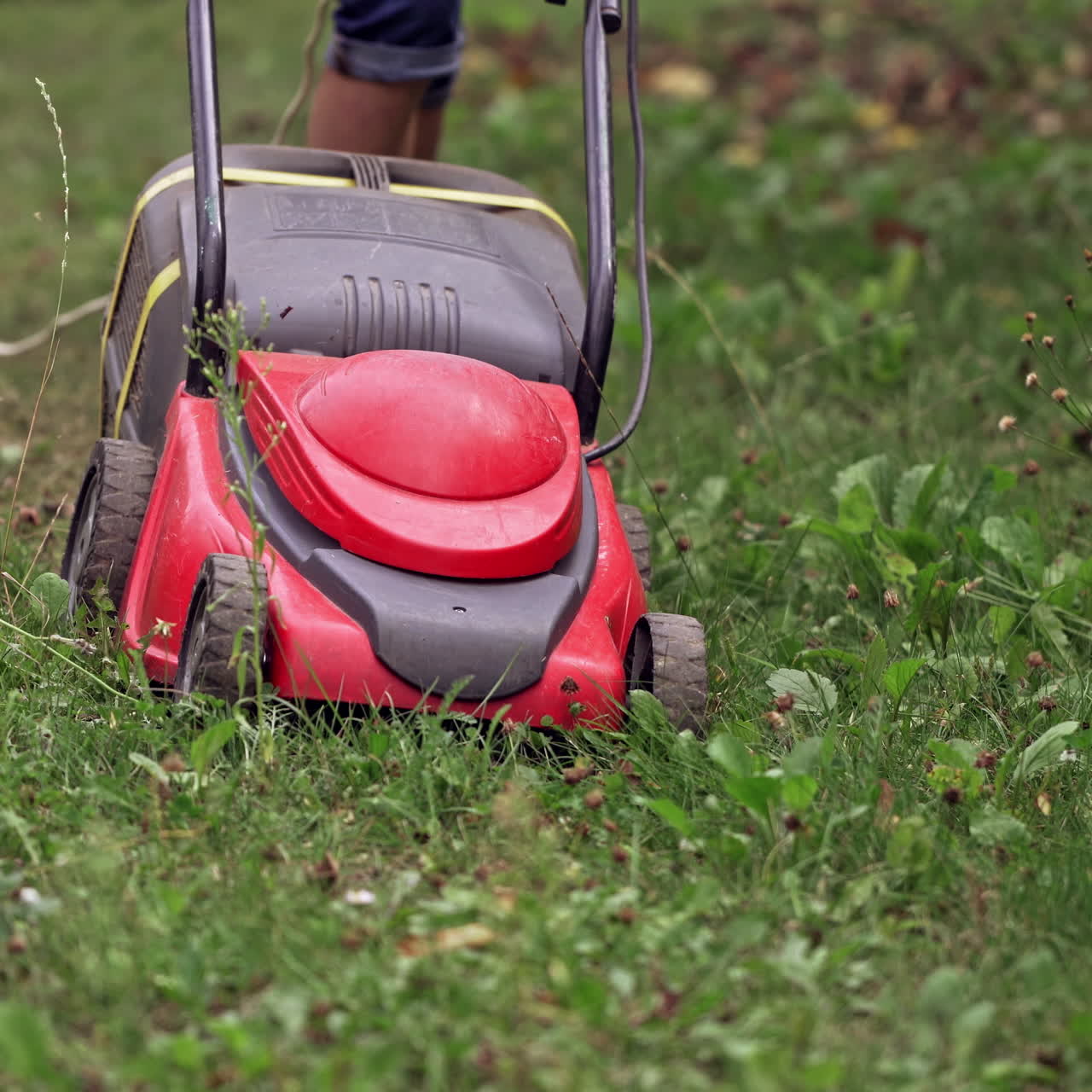 Lawn mower in working process on green grass. Close up view on the mower cutter machine on the natural lawn background. Summer seasonal works in backyard.