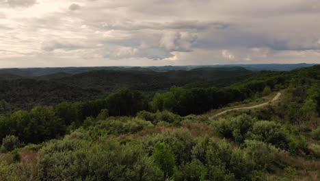 lush green landscape rolling hills