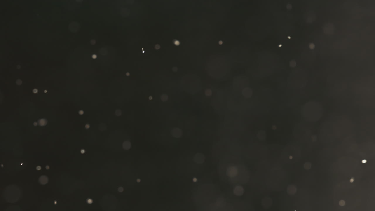 공기 속의 먼지 입자