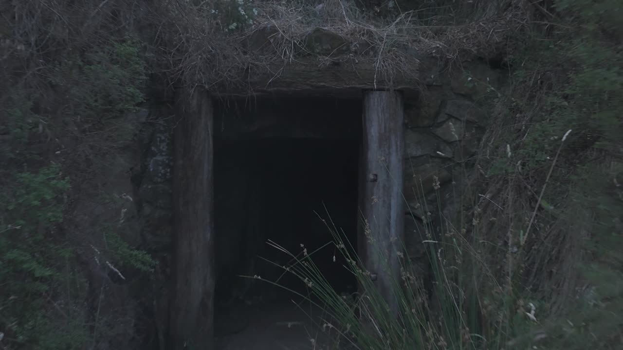 Explore the mysterious entrance of a historic mining tunnel in Warrandyte Park. Captured in twilight's soft glow, the scene evokes an eerie yet tranquil atmosphere, surrounded by nature