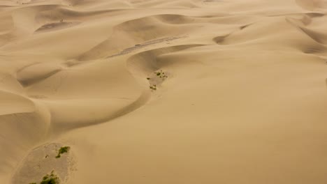 drone flight over dunes and desert, dunas de maspalomas, gran canaria