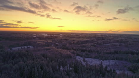 Vuelo-Aéreo-Sobre-El-Paisaje-Nevado-De-Invierno-Con-Abetos-Durante-La-Puesta-De-Sol-Dorada-En-Letonia,-Europa